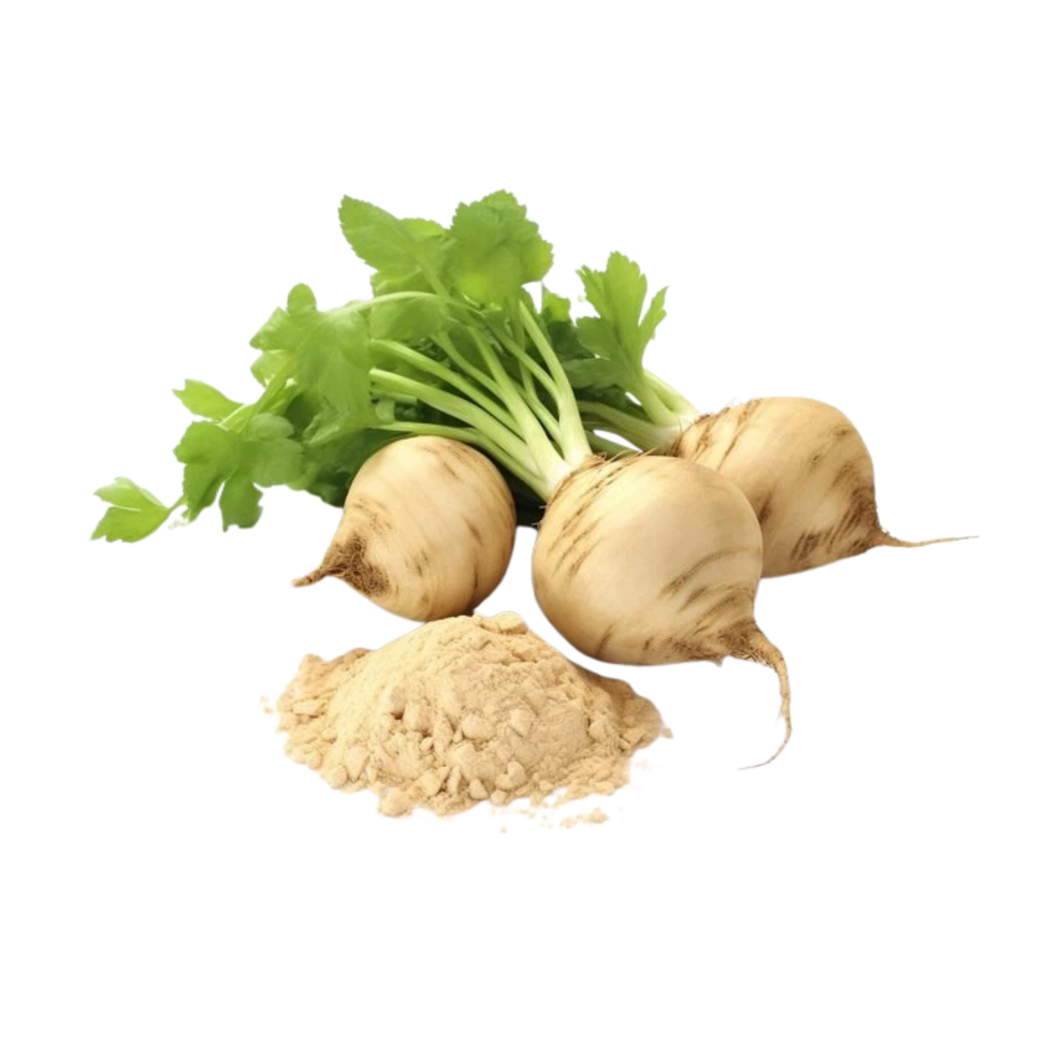 Maca root powder ingredient used in Bed Pops formula